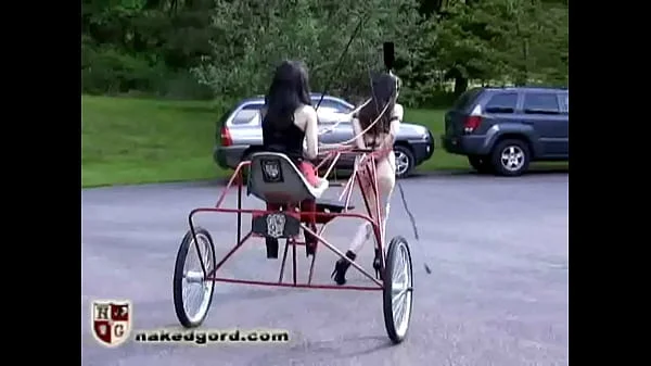 The Red Pony Cart